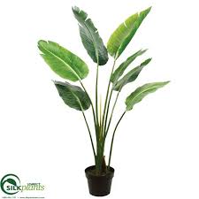 Travelers Palm Bird Of Paradise Silk Plants Direct Traveler Palm Tree Green Pack Of 2 Travellers Palm Silk Plants Plants