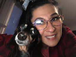 Mini and cute Dachshunds 🖤 CCIy