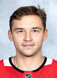 Player photos for the 2016-17 Quebec Remparts at hockeydb.com