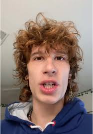 Exploring Minecraft House Ideas and Official Movie