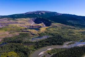 B.C. rejects Sukunka coal mine over threat to caribou