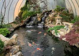 Diy koi pond i ve always wanted to make one garden pond design fish pond gardens ponds backyard. Koi Pond In Winter Preparation Tips And Survival Guide