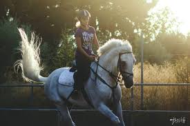 Court of justice of the european union. Sxolh Ippasias Tatoioy Ippikos Omilos Mega Sports Trot Gr