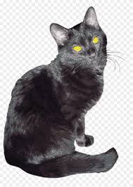 Are you searching for black cat png images or vector? Sherlock Png Black Cat Transparent Png 1765x2400 2270807 Pngfind