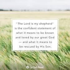 Our Daily Bread On Instagram Daily Devotion Football And Shepherds The Bible In One Yea Bible Reading For Today Daily Devotional Our Daily Bread Devotional