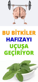 Zihin Yorgunlugu Hafiza Kaybi Hatirlama Gucluklerine Karsi Bu Bitkilerden Faydalanin Health Healthy Lifestyle Ibo
