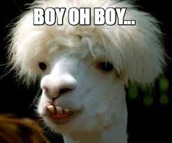 Meme Creator - Funny Boy oh boy... Meme Generator at MemeCreator.org!