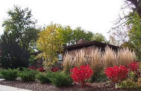 Burning Bush Landscape Ideas Google Search Landscaping Around House Backyard Landscaping Modern Landscape Design