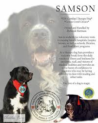 Big Sam Therapy Dog Resume Photo Collage Therapy Dogs Therapy Animals Dogs