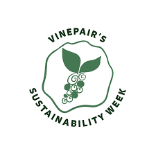 Sustainable Chilean Wine Tasting