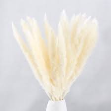 #driedflowers #driedfloraldesign #driedbouquet #driedflowersforweddings #bulkdriedflowers. Xhxstore 25 Pcs Artificial Pampas Grasses Flowers Dried Pampas Grass Natural Dried Flowers Phragmites Flower Communis Bouquet For Home Kitchen Wedding Floral Vase Arrangements Decor Buy Online In Grenada At Grenada Desertcart Com Productid