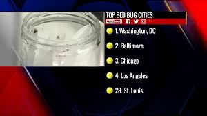 We are a small, family st. Here S Where St Louis Ranks In Top Bed Bug Infested Cities Fox 2