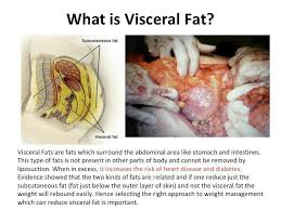 What Is Visceral Fat And Why Is It So Dangerous 5 Days Challenge