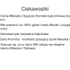 Chrzest polski za pośrednictwem czech nastąpił w 966 roku (przypuszcza się w okolicach wielkanocy). 1
