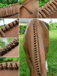 Horse Plaits Horse Hair Braiding Horse Hair Horse Braiding