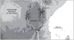 Image result for Pauridiantha