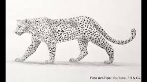 How To Draw A Leopard With Pencil Big Cat Youtube