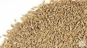 It helps to add an earthy and. Cumine Seed Buy Cumin Seed For Best Price At Inr 190 225 Kilogram Approx