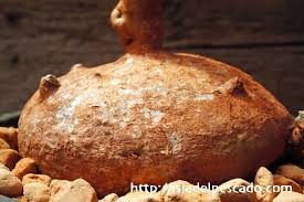 Image result for Raphionacme globosa