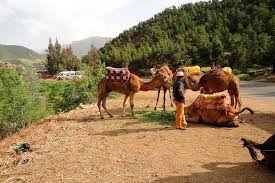 Short camel ride, then drove to atlas mountain for 'scramble' up rock face with precipitous drop. Spacetraveller Activity Atlas Mountains Day Trip From