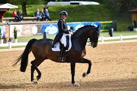 2,707 likes · 3 talking about this. Reiterin Dorothee Schneider Mit Verletzung Auf Showtime