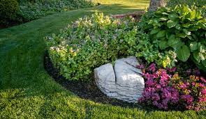 We did not find results for: On Gardening Vanilla Spice Is Oh So Nice Rismedia