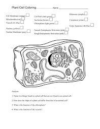 Animal and plant cell coloring guide. Plant Cell Coloring