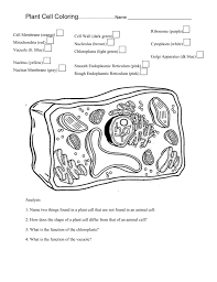Terms in this set (48). Plant Cell Coloring