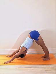 Download the yoga.for.beginners.with.kino.macgregor.ashtanga.yoga_2014_olu6ka torrent or choose other kino macgregor introduces you to the practice of ashtanga yoga taught to her by sri k. 5 Beginner Yoga Poses For Everyone Kino Macgregor Online Yoga Classes Author Yogi Ashtanga Teacher
