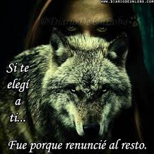 Lobo Frases Buscar Con Google Imagenes De Lobos Lobos Lobos Enamorados