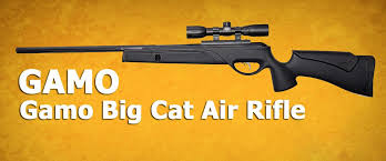 Gamo silent cat air rifle vs raptor whisper. Pin On Best Gamo Air Rifles