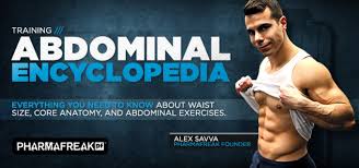 Working as a team, these muscles contract to flex, laterally bend, and rotate the torso. Abdominal Encyclopedia Core Anatomy And Effective Training