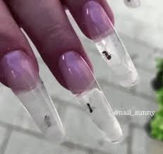 Explore our wholesale acrylic nails supplies online. Live Ant Manicures Are The Newest Nail Art Trend Revelist