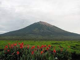 Volcanoes A Plant S Eye View Volcano Tropical Rainforest Places To Visit