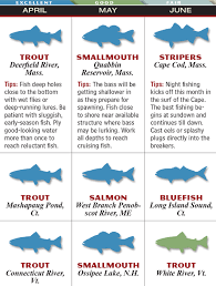 New England 2015 Fishing Calendar