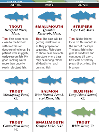 new england 2015 fishing calendar