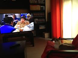 Take out with the cast of the big bang theory. Pin En Gatita