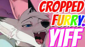 SEARCHED Cropped YIFF MEMES And SAW THESE - YouTube