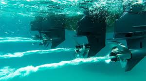 Image result for sharrow