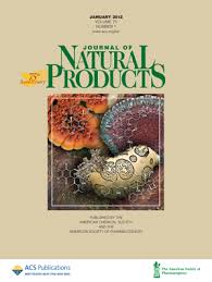 Image result for Neoboutonia melleri