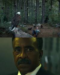 Black Panther vs Wolverine in Comics