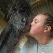 Massive thank you to Neil Roach and his Gorgeous wife Sonia for your weekly  support . With so many mouths to feed at the moment this support really  means alot. Prince and