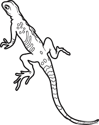 Let your child color the chameleon, the komodo dragon, and many others types of lizards. Lizard Coloring Pages For Kids Printable Coloring4free Coloring4free Com