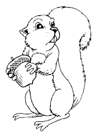 Acorn coloring pages for kids. Pin On Color Your World