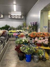 At unlimited flowers you can buy the freshest flowers in miami by the bunch or by the case. Unlimited Flowers 13500 Sw 128th St Miami Fl Gift Shops Mapquest