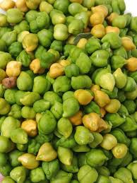 Image result for Cicer arietinum