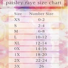 Paisley Raye Retro Tea Dress Boutique
