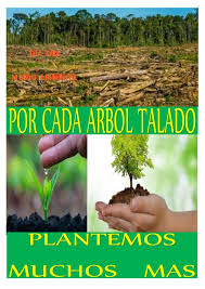 Con una caminata en managua, se inició este viernes la celebración del día del árbol. Frases Medio Ambiente