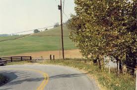 William Eggleston William Eggleston Nature Photography Photography