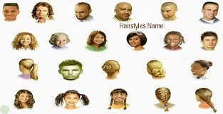 As the stated before, there are names of hairstyles such as bob cut, afro, bouffant, braid, bun, buzz cut, cornrows, crown braid, finger wave, faux hawk, french braid, twist, bangs, up do, long hair, ponytail, shaggy, short hair, long hair, wavy, pixy and many others which can complete your hairstyles. Hairstyles Names Meaning Picture Necessary Vocabulary Necessary Vocabulary
